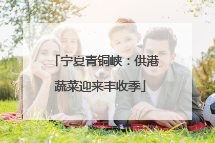 宁夏青铜峡：供港蔬菜迎来丰收季