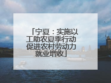 宁夏：实施以工助农夏季行动促进农村劳动力就业增收