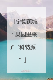 宁德蕉城：果园里来了“科特派”