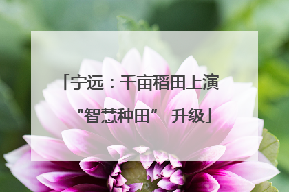 宁远：千亩稻田上演 “智慧种田” 升级
