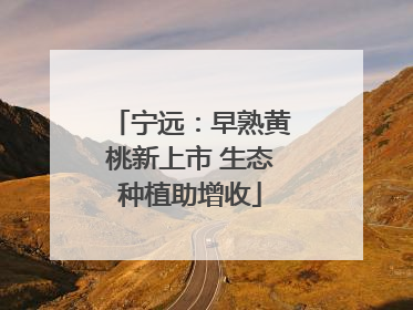 宁远：早熟黄桃新上市 生态种植助增收
