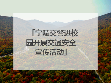 宁陵交警进校园开展交通安全宣传活动