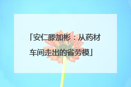 安仁滕加彬：从药材车间走出的省劳模