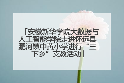安徽新华学院大数据与人工智能学院走进怀远县淝河镇中黄小学进行“三下乡”支教活动