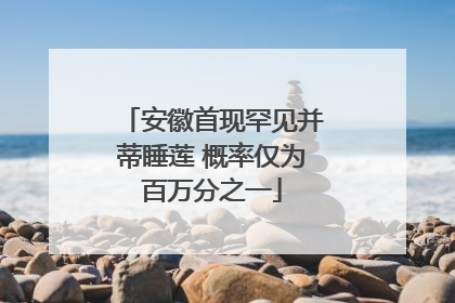 安徽首现罕见并蒂睡莲 概率仅为百万分之一
