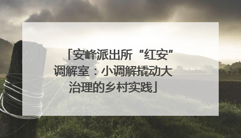 安峰派出所“红安”调解室：小调解撬动大治理的乡村实践