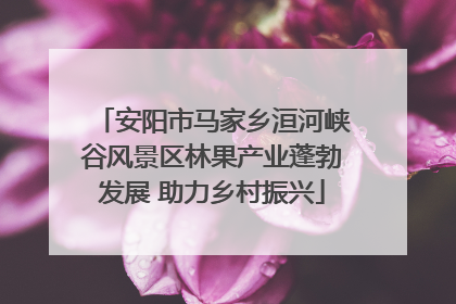 安阳市马家乡洹河峡谷风景区林果产业蓬勃发展 助力乡村振兴