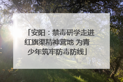 安阳：禁毒研学走进红旗渠精神营地 为青少年筑牢防毒防线