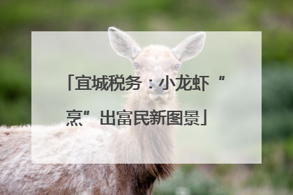 宜城税务：小龙虾“烹”出富民新图景