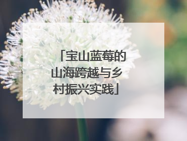 宝山蓝莓的山海跨越与乡村振兴实践