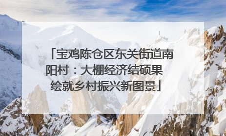 宝鸡陈仓区东关街道南阳村：大棚经济结硕果 绘就乡村振兴新图景