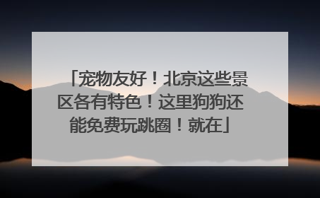 宠物友好！北京这些景区各有特色！这里狗狗还能免费玩跳圈！就在