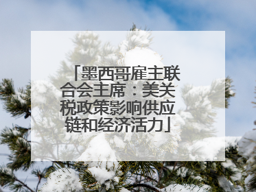 墨西哥雇主联合会主席：美关税政策影响供应链和经济活力