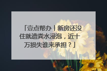 壹点帮办丨新房还没住就遭粪水浸泡，近十万损失谁来承担？