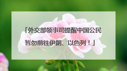 外交部领事司提醒中国公民暂勿前往伊朗、以色列！