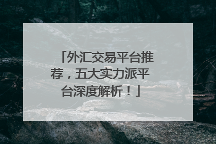 外汇交易平台推荐，五大实力派平台深度解析！