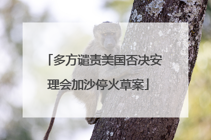 多方谴责美国否决安理会加沙停火草案