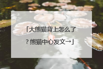 大熊猫背上怎么了？熊猫中心发文→