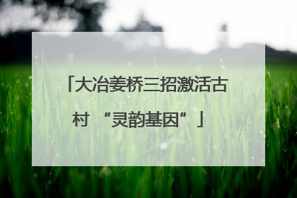 大冶姜桥三招激活古村 “灵韵基因”