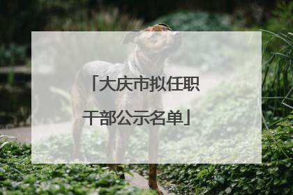 大庆市拟任职干部公示名单