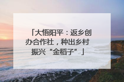 大悟阳平：返乡创办合作社，种出乡村振兴“金稻子”