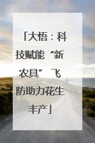 大悟：科技赋能“新农具” 飞防助力花生丰产