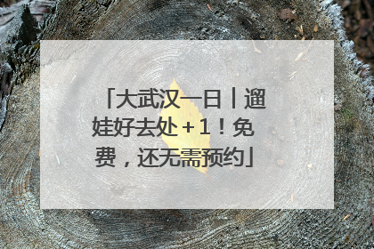 大武汉一日︱遛娃好去处＋1！免费，还无需预约