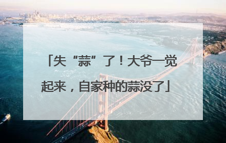 失“蒜”了！大爷一觉起来，自家种的蒜没了