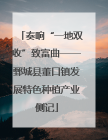 奏响“一地双收”致富曲——鄄城县董口镇发展特色种植产业侧记