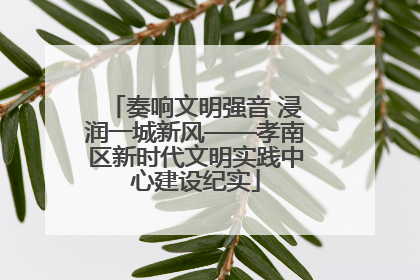 奏响文明强音 浸润一城新风——孝南区新时代文明实践中心建设纪实
