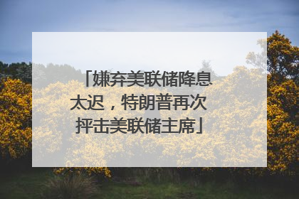 嫌弃美联储降息太迟，特朗普再次抨击美联储主席