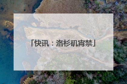 快讯：洛杉矶宵禁