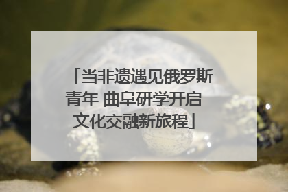 当非遗遇见俄罗斯青年 曲阜研学开启文化交融新旅程