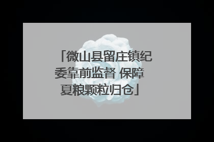 微山县留庄镇纪委靠前监督 保障夏粮颗粒归仓