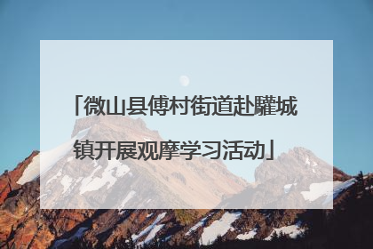 微山县傅村街道赴驩城镇开展观摩学习活动