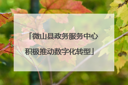 微山县政务服务中心积极推动数字化转型