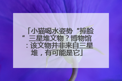 小猫喝水姿势“撞脸”三星堆文物？博物馆：该文物并非来自三星堆，有可能是它