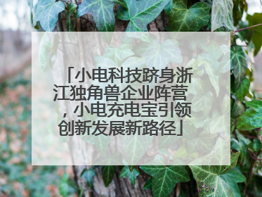 小电科技跻身浙江独角兽企业阵营，小电充电宝引领创新发展新路径