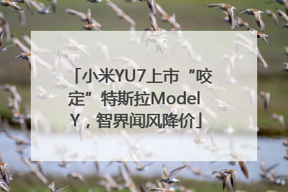 小米YU7上市“咬定”特斯拉Model Y，智界闻风降价
