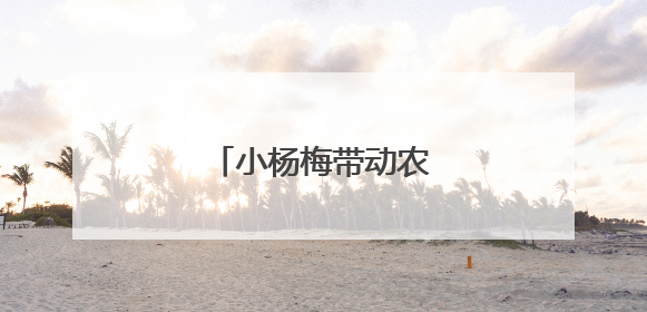 小杨梅带动农文旅大融合