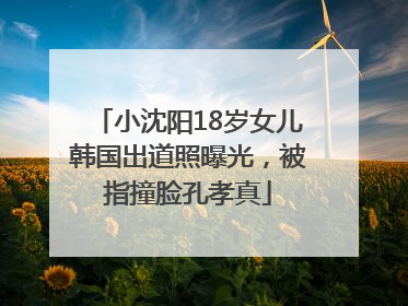 小沈阳18岁女儿韩国出道照曝光，被指撞脸孔孝真