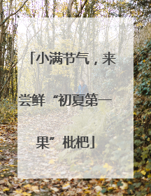 小满节气，来尝鲜“初夏第一果”枇杷
