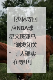 少林寺回应NBA球星文班亚马“剃发闭关”：人确实在寺里