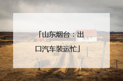 山东烟台：出口汽车装运忙