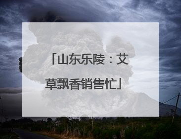 山东乐陵：艾草飘香销售忙