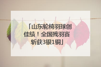 山东轮椅羽球创佳绩!全国残羽赛斩获3银1铜