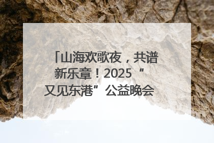 山海欢歌夜，共谱新乐章！2025“又见东港”公益晚会奏响文旅强音