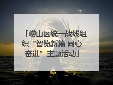 崂山区统一战线组织“智览新篇 同心奋进”主题活动