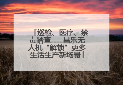 巡检、医疗、禁毒踏查……昌乐无人机“解锁”更多生活生产新场景
