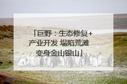 巨野：生态修复+产业开发 塌陷荒滩变身金山银山